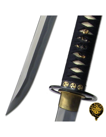 Grande serie di onde katana Tsunami