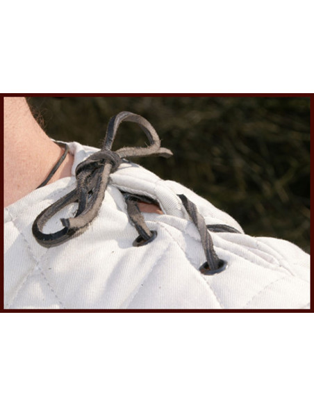 Gambero lungo rombo medievale, colore...