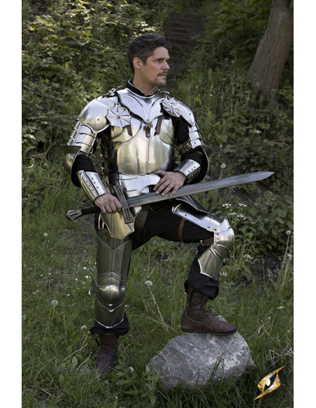 Armatura gotica completa M/L, Armeria...