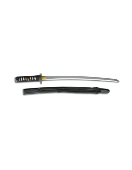 Wakizashi per le pratiche