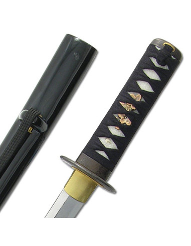 Wakizashi per le pratiche