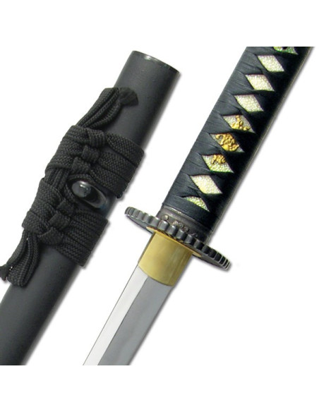 Wakizashi per la pratica più