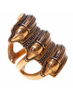 Anello scandinavo dell'età del ferro a Segerstad