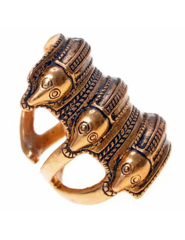 Anello scandinavo dell'età del ferro a Segerstad