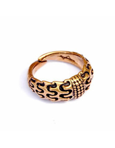 Anello vichingo Falster Orupgaard Danimarca 2