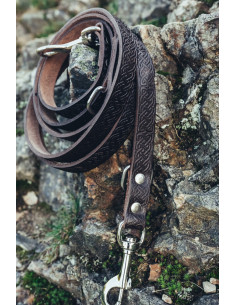 Set guinzaglio Ferris + collare Maddox