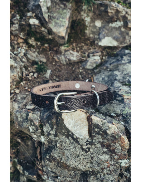 Set guinzaglio Ferris + collare Maddox