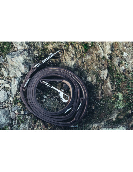 Set guinzaglio Ferris + collare Maddox