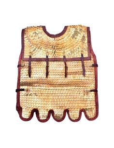 Lorica Squamata romana con scaglie di ottone 2