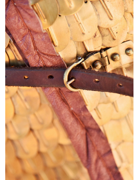 Lorica Squamata romana con scaglie di...