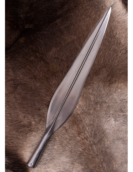 Lunga punta di lancia vichinga...