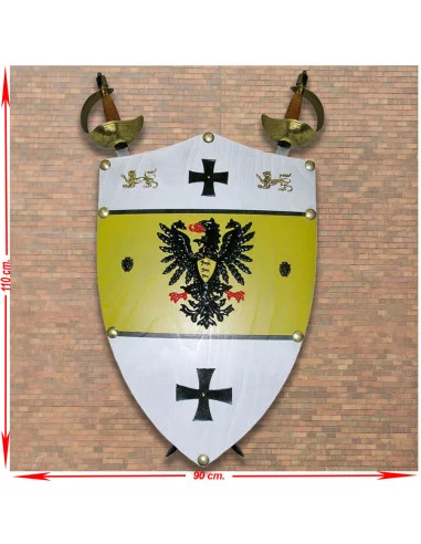 Set di 2 spade pirata + Scudo Barbarossa