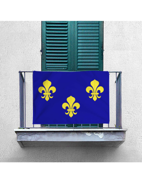 Stendardo-bandiera della Francia...