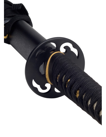 Katana Pratico John Lee, pratiche di...