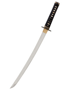 Wakizashi Iaito John Lee modello Zaza