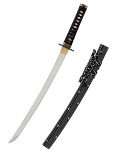 Wakizashi Iaito John Lee modello Zaza 2