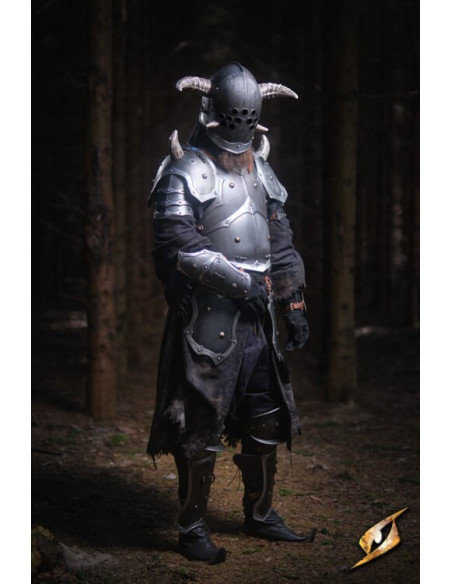 Armatura completa Marauder universe...