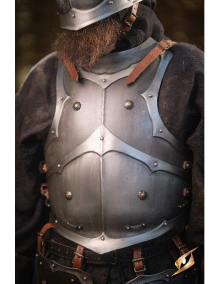 Armatura completa Marauder universe...