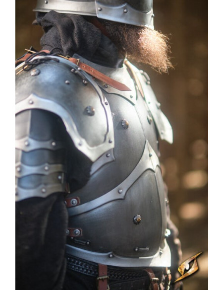 Armatura completa Marauder universe...