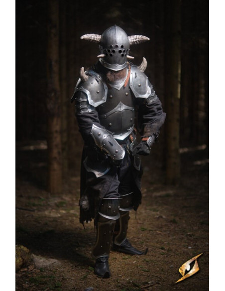 Armatura completa Marauder universe...