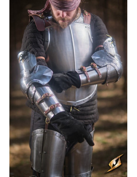 Protezioni braccio in acciaio lucido...