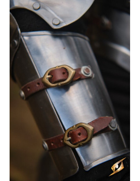 Protezioni braccio in acciaio lucido...