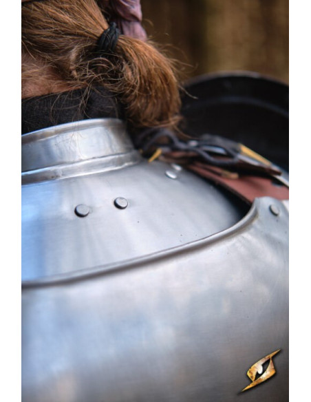 Gorgiera in acciaio lucido serie...