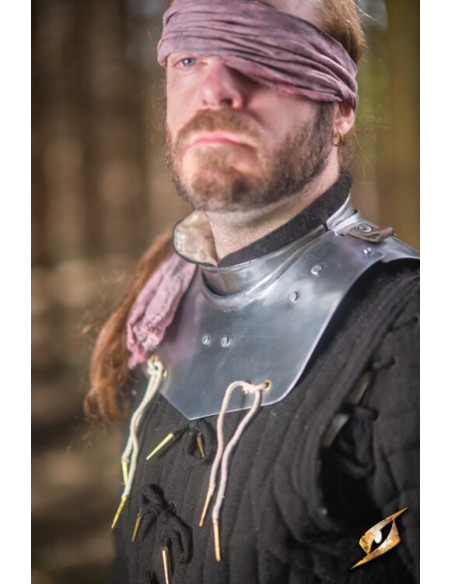 Gorgiera in acciaio lucido serie...