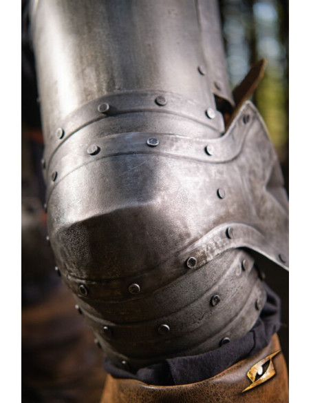 Protezioni per le gambe in acciaio...