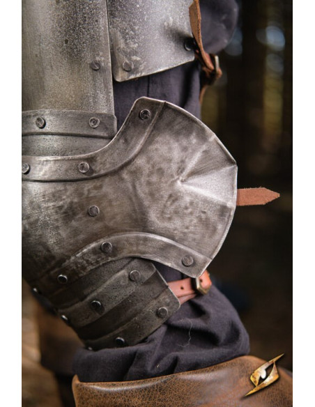 Protezioni per le gambe in acciaio...