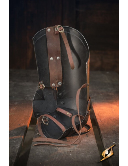 Protezioni per le gambe in acciaio...