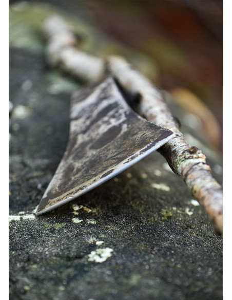 Testa d'ascia in acciaio al carbonio...