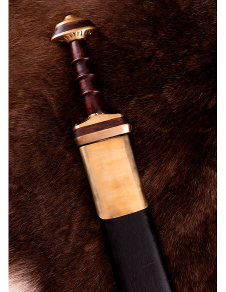 Spada sassone, tedesca, con fodero