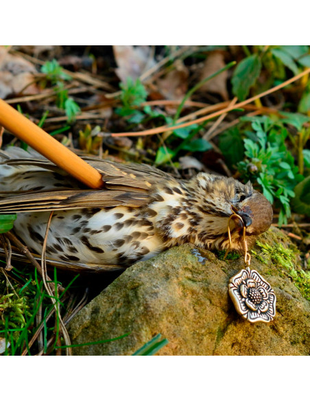 Tudor Rose Orecchini Medievali...