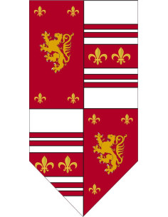 Stendardo medioevale squartato con leone rampante e giglio