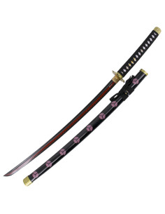 Pratica di base Katana Shusui Zoro One Piece