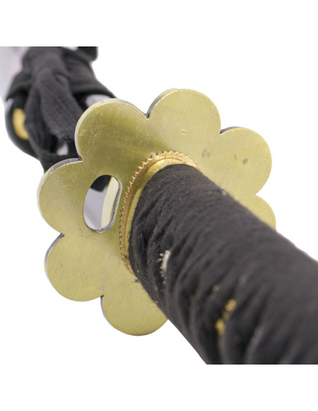 Katana pratica di base Shusui Zoro...