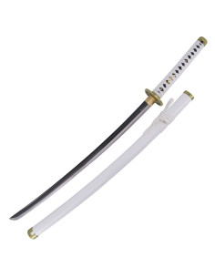 Pratica di base Katana Shusui Wado Ichimonji Zoro One Piece