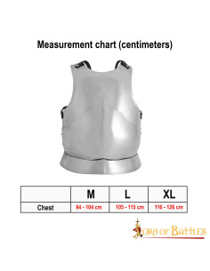 Corazza gotica in acciaio dolce lucido 2