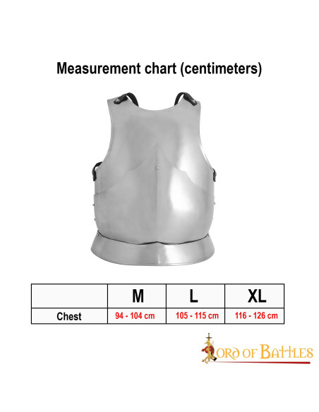 Corazza gotica in acciaio dolce lucido
