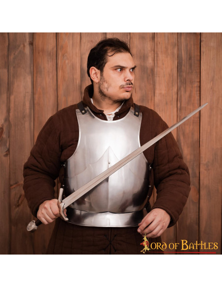 Corazza gotica in acciaio dolce lucido