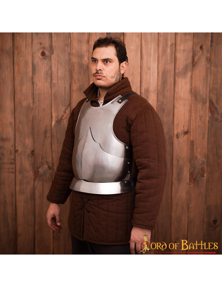 Corazza gotica in acciaio dolce lucido