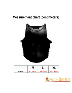 Corazza Classica Fantasy quattro piastre, acciaio annerito 2