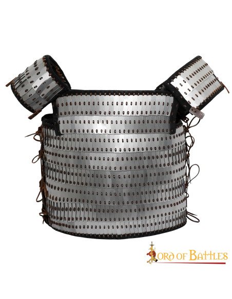 Armatura vichinga lamellare in scala...