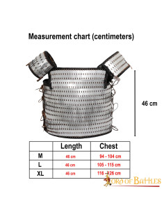 Armatura vichinga lamellare in scala di Visby 2