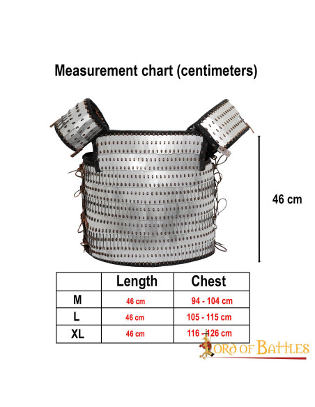 Armatura vichinga lamellare in scala...