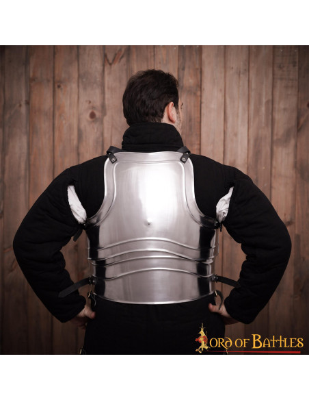 Armatura vichinga lamellare in scala...