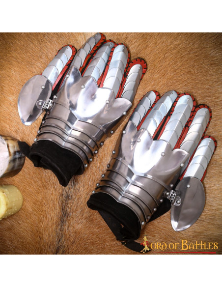 Guanti da cavaliere fantasy...