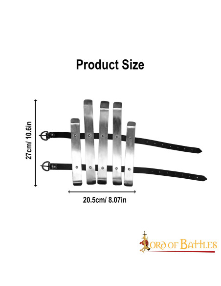 Schinieri vichinghi di Valsgarde,...