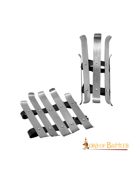 Schinieri vichinghi di Valsgarde,...